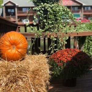 Bullwinkles Rustic Lodge Poplar Bluff Exterior photo